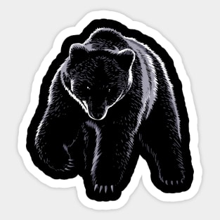 Bear Sticker